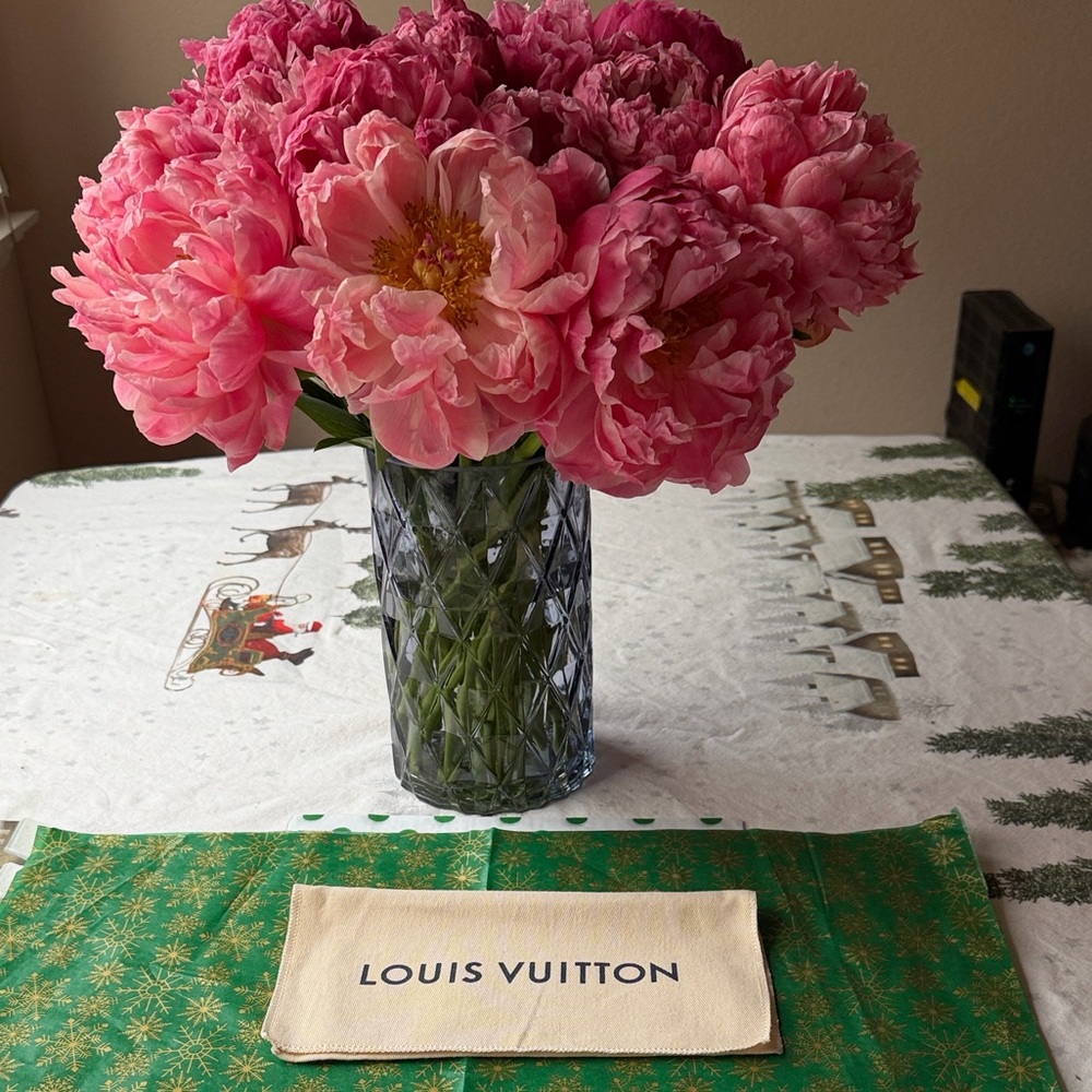 🌹 LOUIS VUITTON DUST COVER 🌹 - Picture 3 of 12
